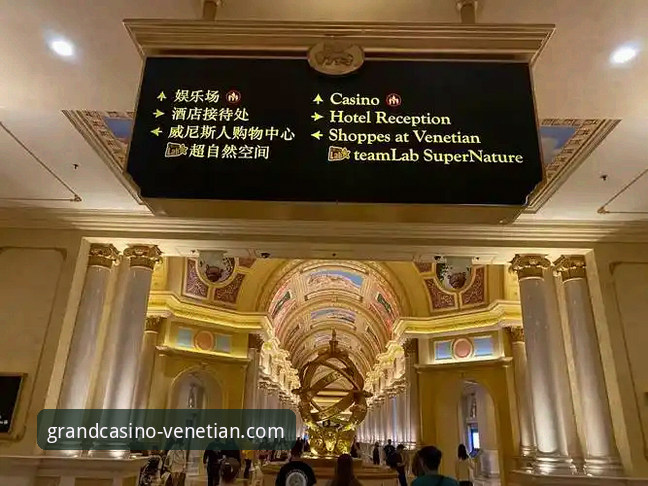 解锁威尼斯人娱乐平台的3大创新体验：iOS版下载安装全攻略