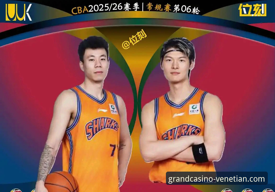 揭秘上海男篮12连胜背后的战术革新与数据密码